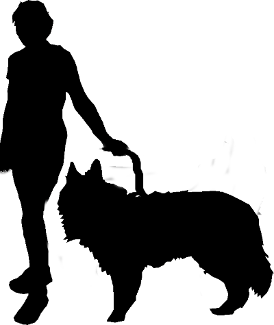 Dog walker silhouette